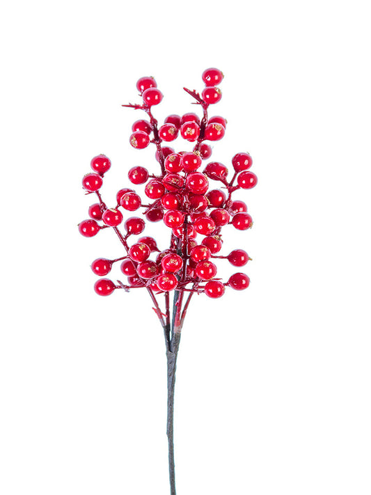 Glossy Red Berry Stem