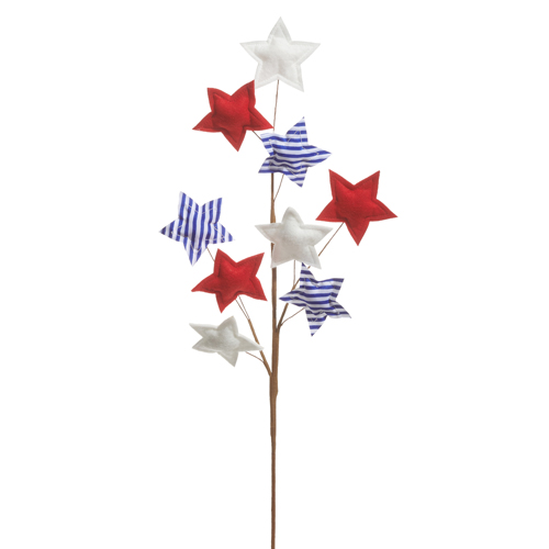 Patriotic Star Spray