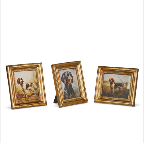 Framed Hunting Dog