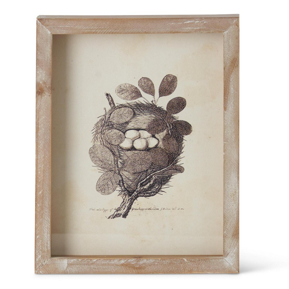 Nest Framed Artwork